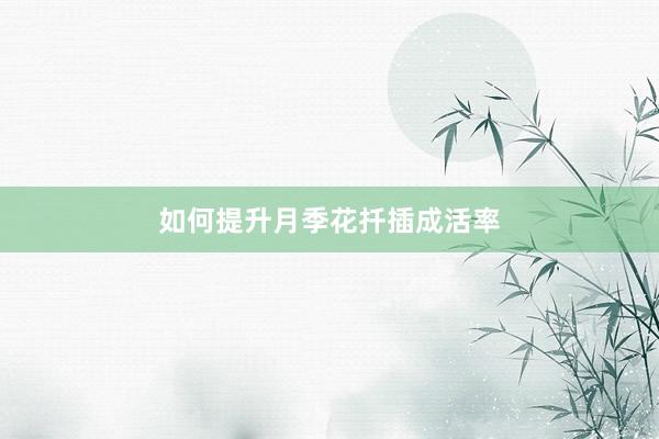 如何提升月季花扦插成活率