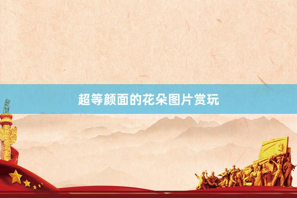 超等颜面的花朵图片赏玩