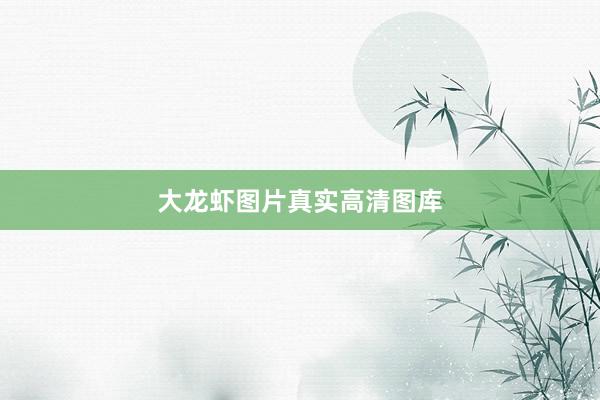 大龙虾图片真实高清图库
