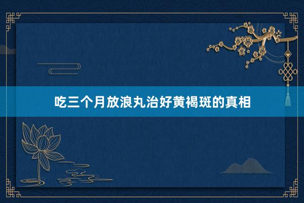 吃三个月放浪丸治好黄褐斑的真相