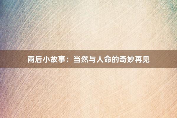 雨后小故事：当然与人命的奇妙再见